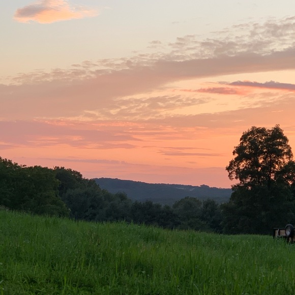 Meet your Posher, Olga - Picture 1 of 1